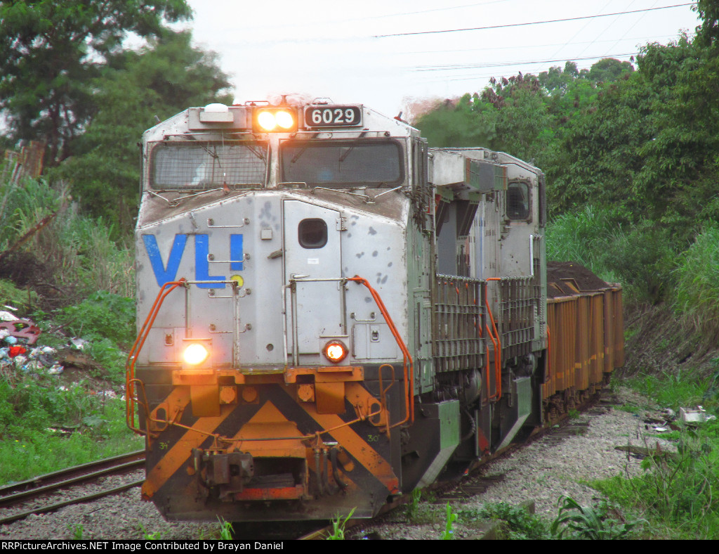 VLI 6029